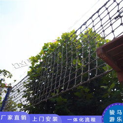 中小型树上拓展商 丛林探险器材经营须知价格